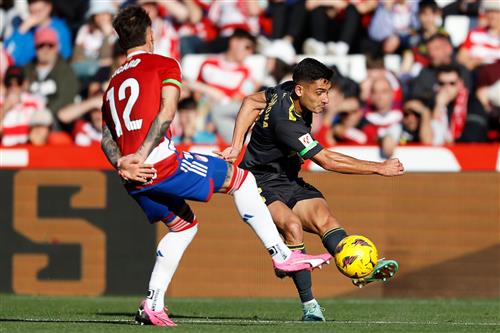 格拉纳达 vs 拉斯帕尔马斯