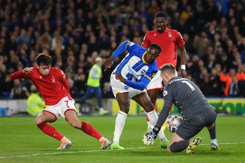 诺丁汉 vs 布莱顿